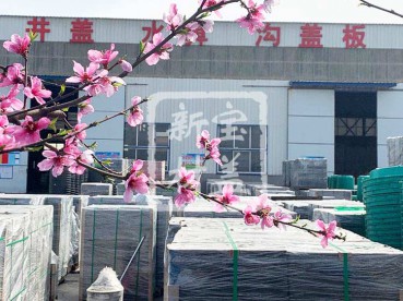 花满枝头，春意盎然